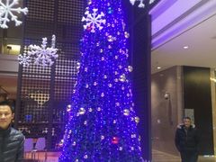-浦东绿地铂骊酒店品珍轩中餐厅