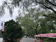 -北陵公园