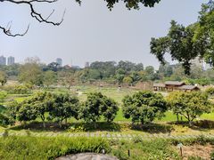 -广西壮族自治区药用植物园