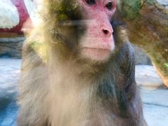 -泉州海丝野生动物世界