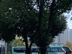 -盈丰路(地铁站)