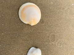 -碧桂园十里银滩