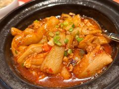 经典鱼香茄子煲-羽鸽集·乳鸽专门店·地道顺德菜(岭南站店)