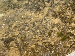 -济南国际园博园