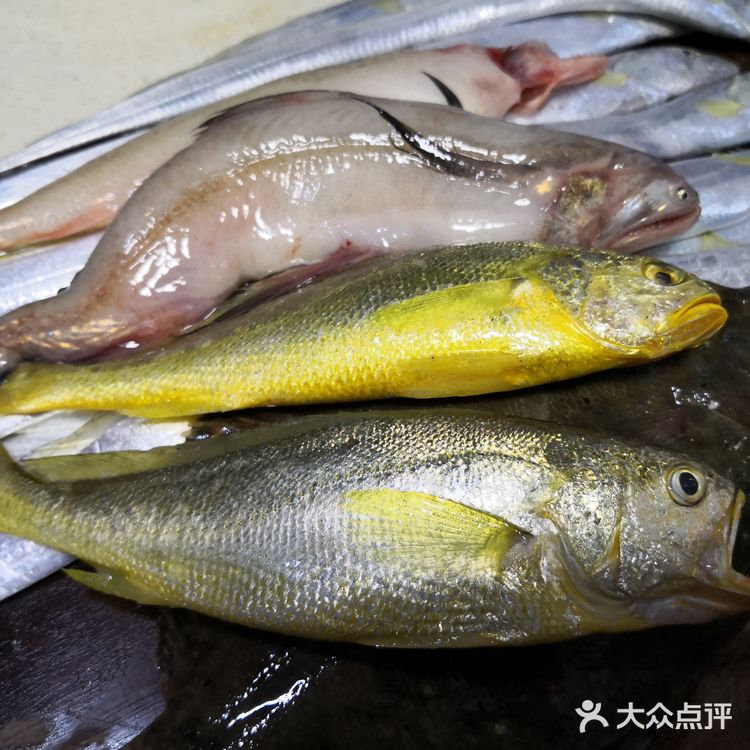金厢赶海记