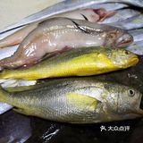 金厢赶海记