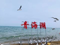 -青海湖国家重点风景名胜区