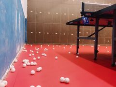 -大凤凰乒乓球馆