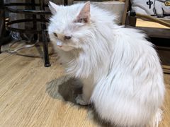 -小时光咖啡馆(开森度假森林店)