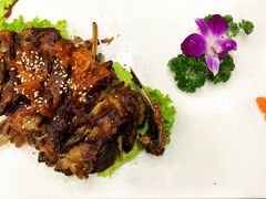 -老毛手抓·盐池滩羊非遗手抓(宁夏总店)