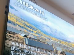 -西域胡氏大盘鸡(新华胡杨风店)