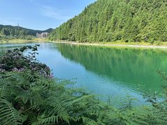 -武陵山森林公园