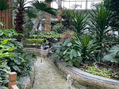 -南宫五洲植物乐园