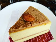 -倾城密码(大唐店)