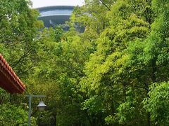 -神光山国家森林公园