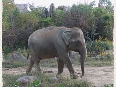 -上海野生动物园
