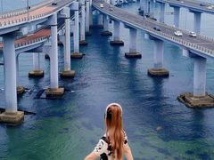 -星海湾跨海大桥
