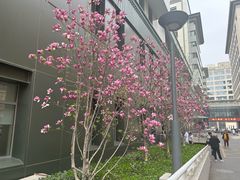 -北京协和医院-护士楼对外餐厅(王府井步行街店)
