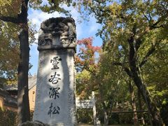 -灵谷景区