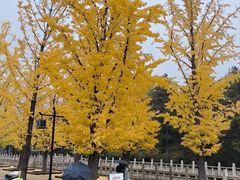 -晋祠公园