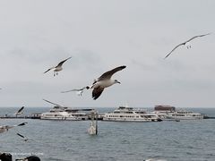 -青海湖二郎剑景区