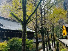 -雁荡山风景名胜区