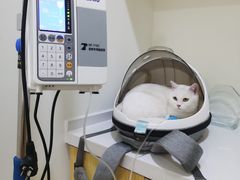 -初心动物医院