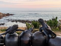 -广东惠东海龟国家级自然保护区