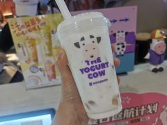 -一只酸奶牛(曲江龙湖星悦荟店)