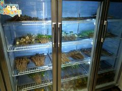 -长药唐师乐山油炸(石人直营店)