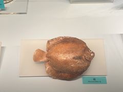 -天津自然博物馆