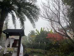 -苏州湾·王焰温泉