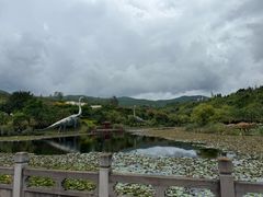 -世界恐龙谷景区
