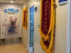 -瑞派·关忠动物医院(国瑞店)