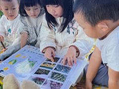 -光明小镇欢乐田园