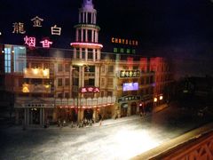 -东方明珠国际旅行社有限公司