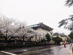 -武汉大学-樱园