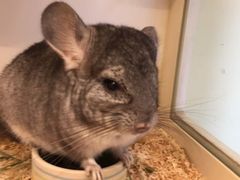 -龙猫仔乐园(惠福东路店)