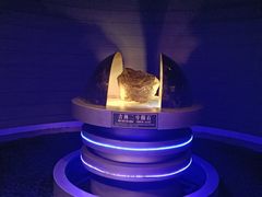-吉林市博物馆