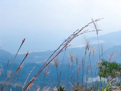 -七娘山