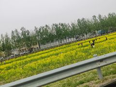 -天津武清北运河郊野公园房车露营地