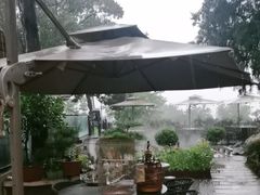 -蘇河湾·新鲁菜·泰山宴(泰山店)