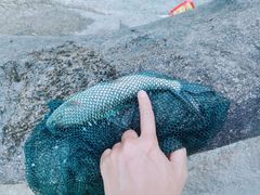 -海南热带雨林国家公园吊罗山景区