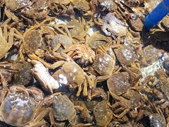 -和谐号蒸汽海鲜烤肉自助餐厅(欧亚新生活店)