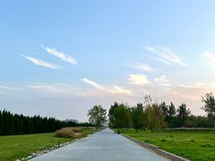 -汉长安城未央宫国家考古遗址公园