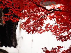 -拙政园