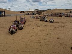 -银肯塔拉沙漠生态旅游景区