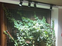 -唐师傅湘西名菜馆(武陵路店)