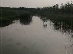 -春花秋色城市公园