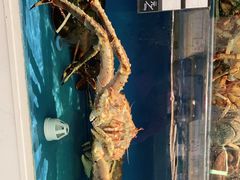 -百富源·海鲜辽菜(浑河堡店)